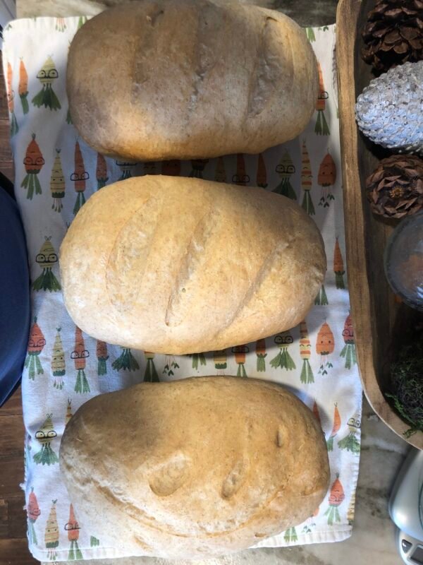 Bread | Rustic Bread