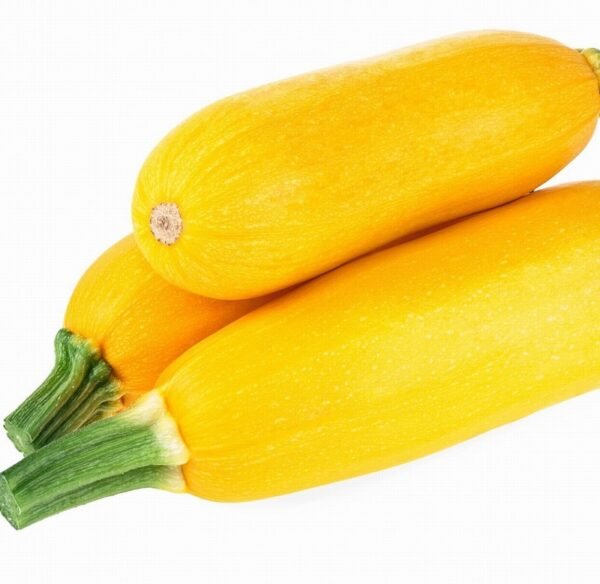 Yellow Summer Squash