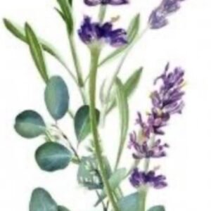 Lavender Eucalyptus Bar Soap