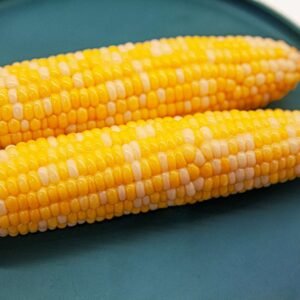 Corn