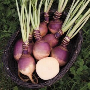 Rutabaga