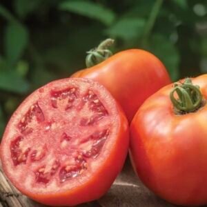 Beef Steak Tomatoes