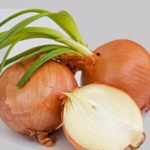 Spanish Onion