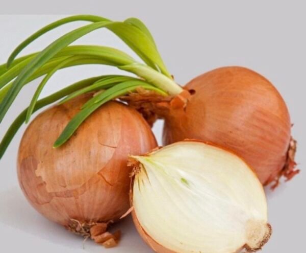 Spanish Onion