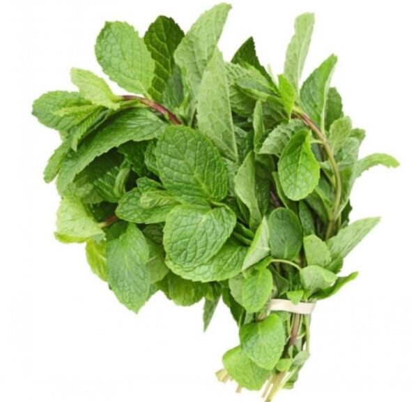 Mint
