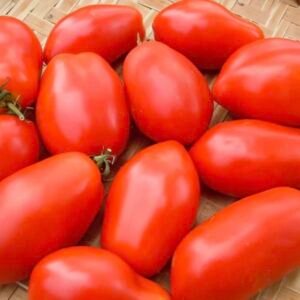 Roma Tomatoes