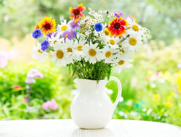 Fresh Cut Flowers