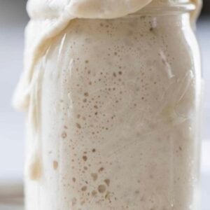 Active Sourdough Starter